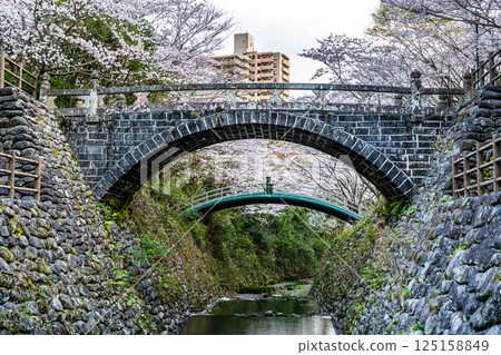 Cherry blossoms at Nishiyama Dam Downstream Park [Nagasaki City] 125158849