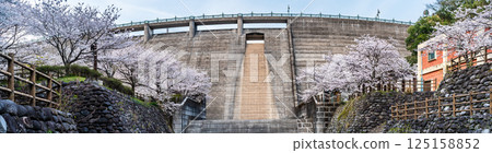 西山水壩下游公園櫻花全景[長崎市] 125158852