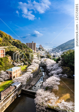 Cherry blossoms at Nishiyama Dam Downstream Park [Nagasaki City] 125158891