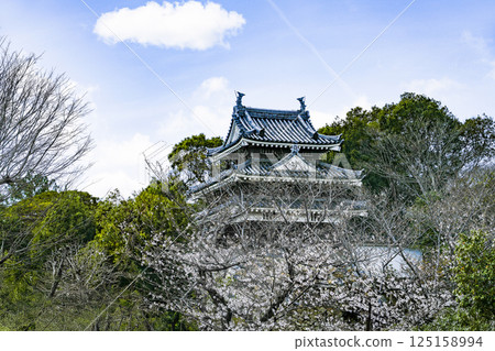西尾市歷史公園（3月下旬） 本丸牛虎櫓 125158994