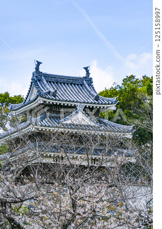 西尾市歷史公園(3月下旬) 本丸牛虎櫓 西尾市歷史公園(3月下旬) 本丸牛虎櫓 125158997