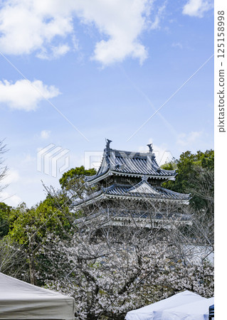 西尾市歷史公園(3月下旬) 本丸牛虎櫓 西尾市歷史公園(3月下旬) 本丸牛虎櫓 125158998