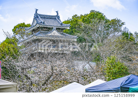 西尾市歷史公園(3月下旬) 本丸牛虎櫓 西尾市歷史公園(3月下旬) 本丸牛虎櫓 125158999