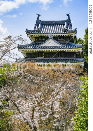 Nishio City Historical Park (end of March) Honmaru Ushitora Yagura 125159001