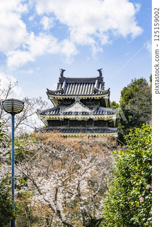 西尾市歷史公園(3月下旬) 本丸牛虎櫓 西尾市歷史公園(3月下旬) 本丸牛虎櫓 125159002