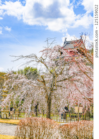 西尾市歷史公園（3月下旬） 本丸牛虎櫓 125159022