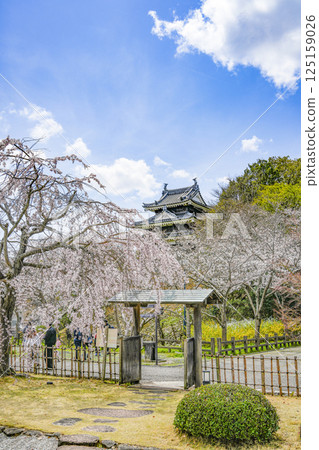 西尾市歷史公園（3月下旬） 本丸牛虎櫓 125159026