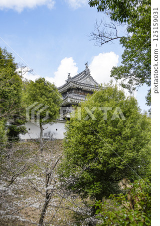 西尾市歷史公園(3月下旬) 本丸牛虎櫓 西尾市歷史公園(3月下旬) 本丸牛虎櫓 125159031