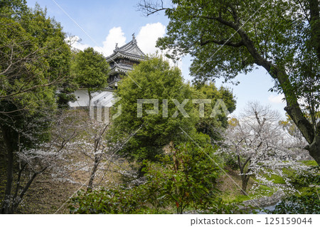 西尾市歷史公園（3月下旬） 本丸牛虎櫓 125159044