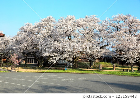 Nationally designated historic site: Matsugaoka Reclamation Site 125159448