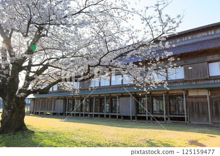 國家指定史蹟:松丘填海遺址 國家指定史蹟:松丘填海遺址 125159477