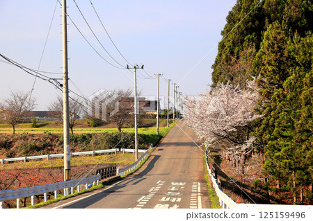 Nationally designated historic site: Matsugaoka Reclamation Site 125159496