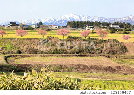 國家指定史蹟:松丘填海遺址 國家指定史蹟:松丘填海遺址 125159497