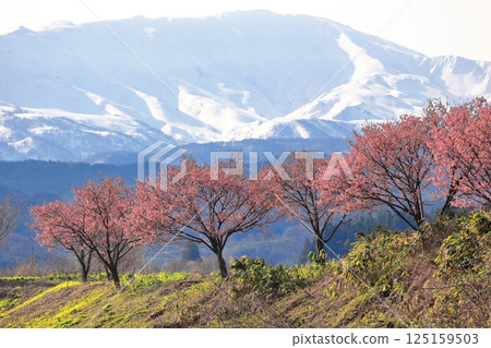 Nationally designated historic site: Matsugaoka Reclamation Site Nationally designated historic site: Matsugaoka Reclamation Site 125159503