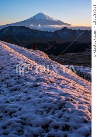 Snow-covered tea fields in Shimizu Yoshiwara and Mt. Fuji Snow-covered tea fields in Shimizu Yoshiwara and Mt. Fuji 125159511