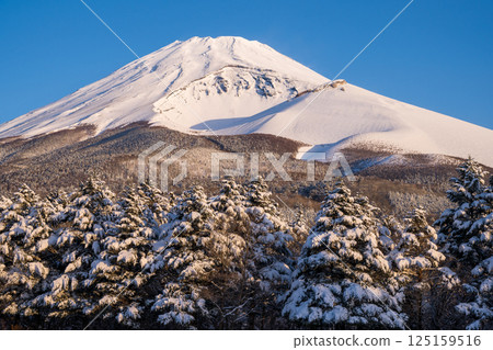 Snowy scenery and Mt. Fuji as seen from Koshikirizuka Observatory 125159516