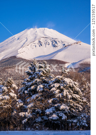 Mt. Fuji seen from Mizugazuka Park in snow Mt. Fuji seen from Mizugazuka Park in snow 125159517