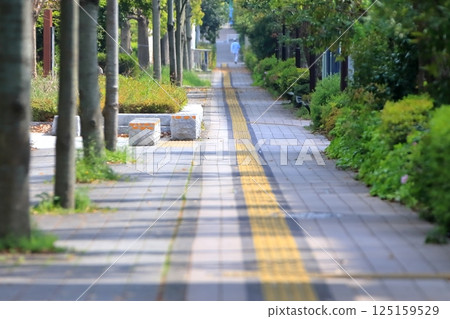 Image of a sidewalk with guiding blocks for visually impaired people 125159529