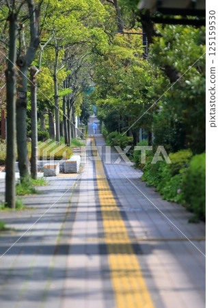 Image of a sidewalk with guiding blocks for visually impaired people 125159530