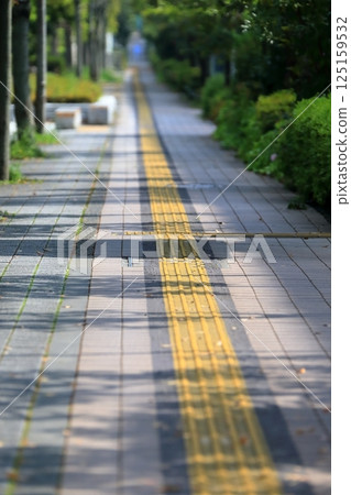 Image of a sidewalk with guiding blocks for visually impaired people 125159532