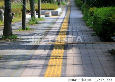 Image of a sidewalk with guiding blocks for visually impaired people 125159533