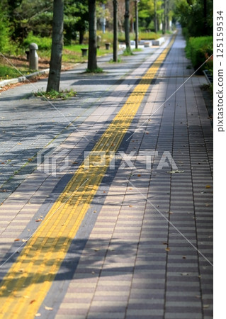Image of a sidewalk with guiding blocks for visually impaired people 125159534