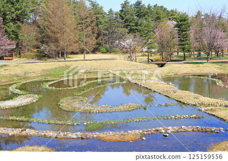 Spring in the National Alps Azumino Park, Horigane and Hotaka areas 125159556