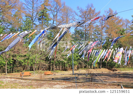 Spring in the National Alps Azumino Park, Horigane and Hotaka areas 125159651