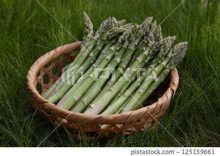 新鮮蘆筍 125159661