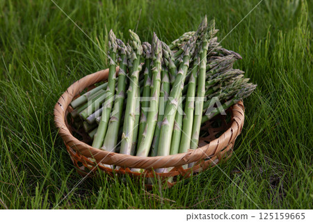 新鮮蘆筍 新鮮蘆筍 125159665