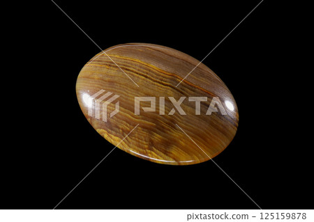 矽化木地球史 125159878