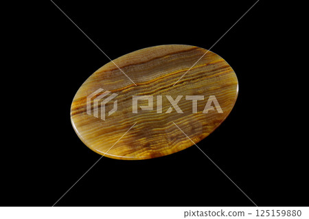 矽化木地球史 矽化木地球史 125159880