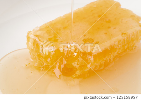 Close-up of comb honey full of honey 125159957