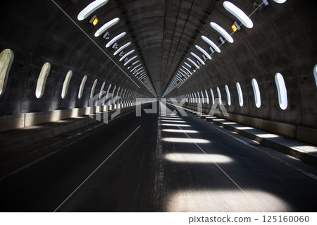 穿過樹林的路 125160060