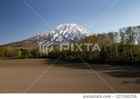 早春的羊蹄山 早春的羊蹄山 125160256