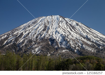 早春的羊蹄山 125160257