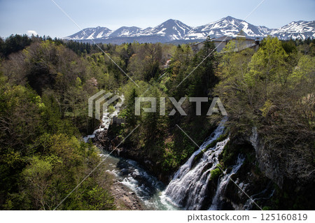 Fresh green leaves of Shirahige Falls 125160819