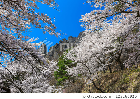 櫻之裡的岩石山峰 125160929