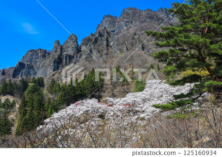 櫻花村和岩峰 125160934