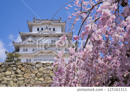 姬路城的天守閣以櫻花裝飾 125161311