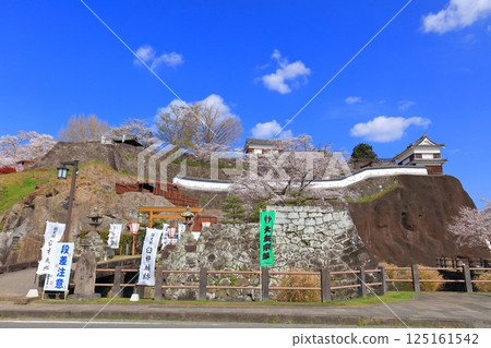 【大分縣】晴朗天氣下的臼杵城與盛開的櫻花（臼杵城址櫻花節） 125161542