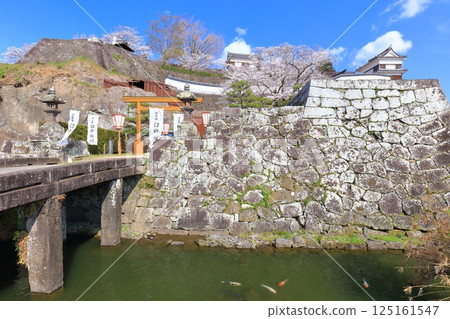 【大分縣】晴朗天氣下的臼杵城與盛開的櫻花（臼杵城址櫻花節） 125161547