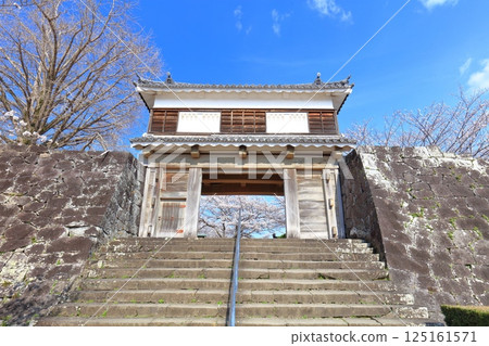 [Oita Prefecture] Usuki Castle on a clear day and cherry blossoms in full bloom (Usuki Castle Site Cherry Blossom Festival) 125161571