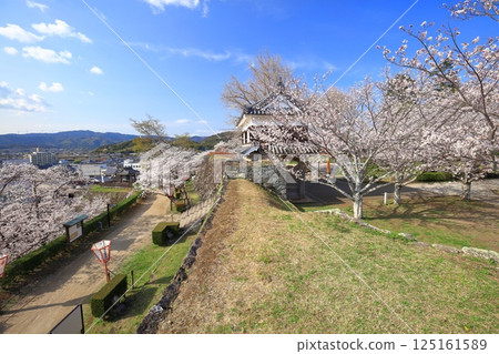 [Oita Prefecture] Usuki Castle on a clear day and cherry blossoms in full bloom (Usuki Castle Site Cherry Blossom Festival) 125161589