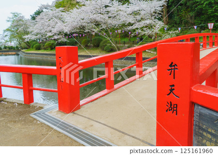 [Mobara City, Chiba Prefecture] Spring in Mobara Park (Benten Lake and Benten Bridge) and cherry blossoms 125161960