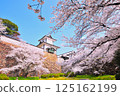 Kanazawa Castle in Spring 125162199