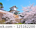Kanazawa Castle in Spring 125162200