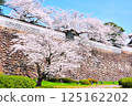 Kanazawa Castle in Spring 125162202