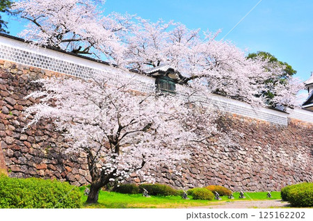 Kanazawa Castle in Spring Kanazawa Castle in Spring 125162202