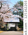 Kanazawa Castle Park, Former 6th Brigade Headquarters Building, Stamp Gate and Cherry Blossoms 125162203
